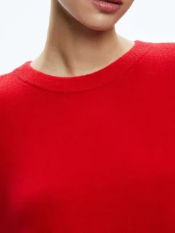 Women Alice and Olivia Angie Pullover