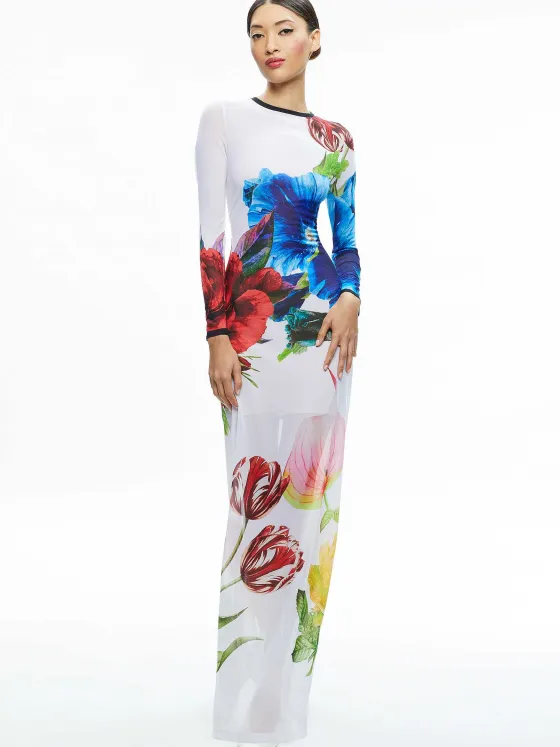Women Alice and Olivia Delora Long Sleeve Crew Neck Maxi Dress