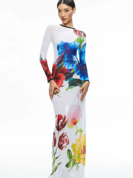 Women Alice and Olivia Delora Long Sleeve Crew Neck Maxi Dress