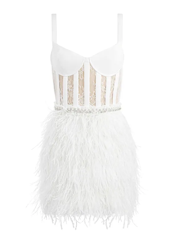 Women Alice and Olivia Xia Sheer Bustier Feathered Mini Dress